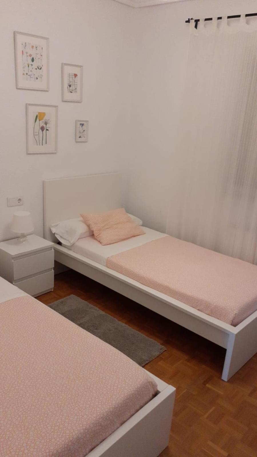 El Coso Logrono