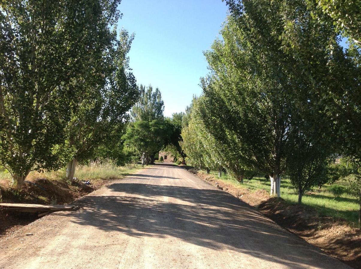 El Consul Logrono