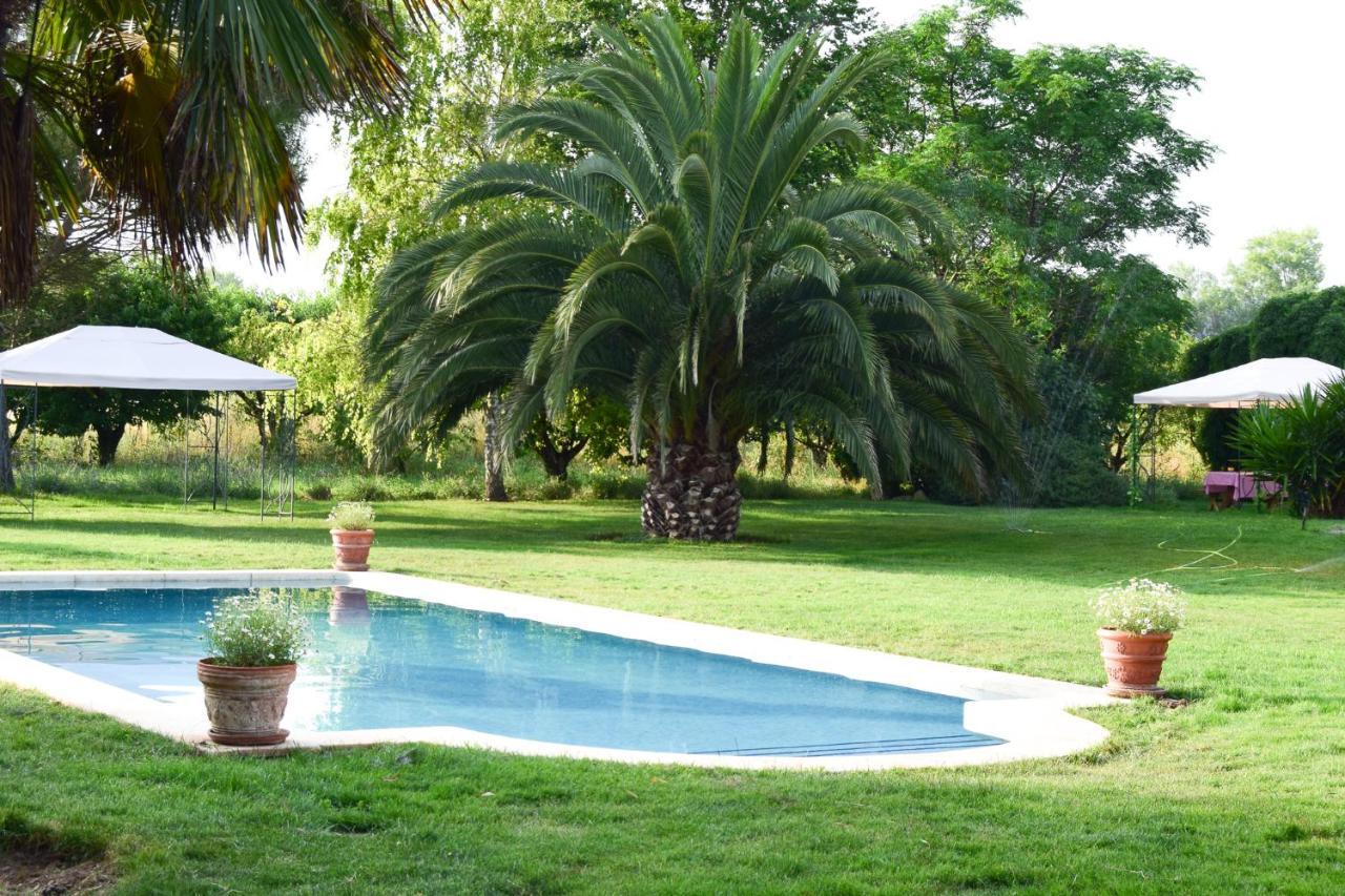Holiday home El Consul *